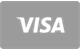 Visa Kreditkarte Zahlungsmethode bei SlotV Casino